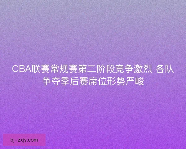 CBA联赛常规赛第二阶段竞争激烈 各队争夺季后赛席位形势严峻 CBA联赛常规赛第二阶段竞争激烈 各队争夺季后赛席位形势严峻