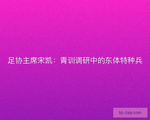 足协主席宋凯:青训调研中的东体特种兵 足协主席宋凯:青训调研中的东体特种兵