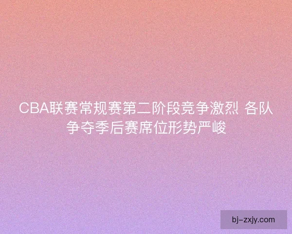 CBA联赛常规赛第二阶段竞争激烈 各队争夺季后赛席位形势严峻 CBA联赛常规赛第二阶段竞争激烈 各队争夺季后赛席位形势严峻