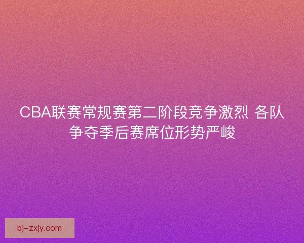 CBA联赛常规赛第二阶段竞争激烈 各队争夺季后赛席位形势严峻