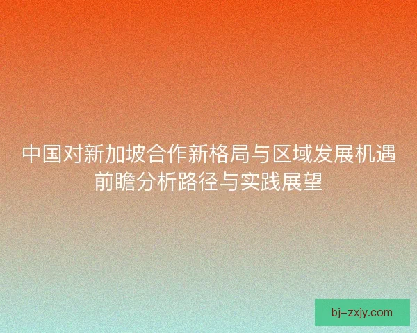 中国对新加坡合作新格局与区域发展机遇前瞻分析路径与实践展望